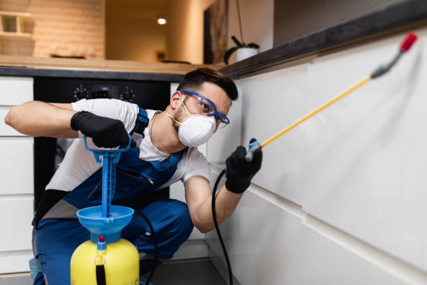 Best Affordable Pest Control Services  in Mbrian Park, CA