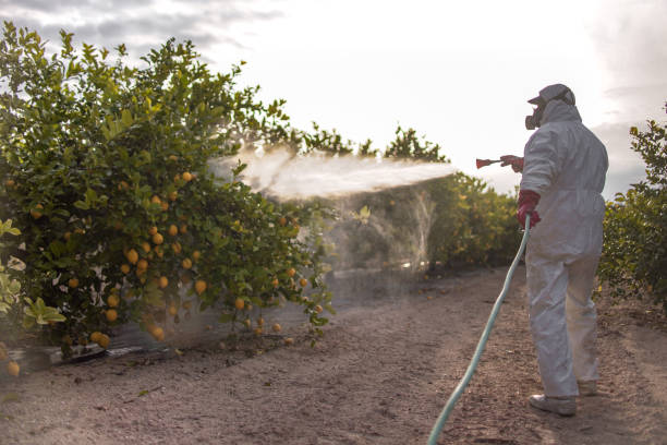Trusted Cambrian Park, CA Pest Control Experts