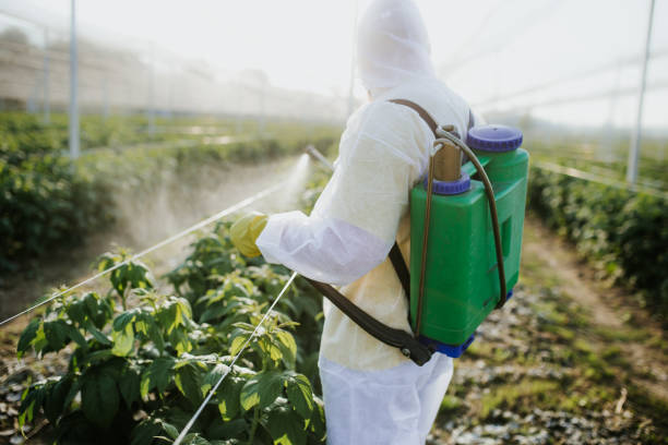Best Commercial Pest Control Services  in Mbrian Park, CA